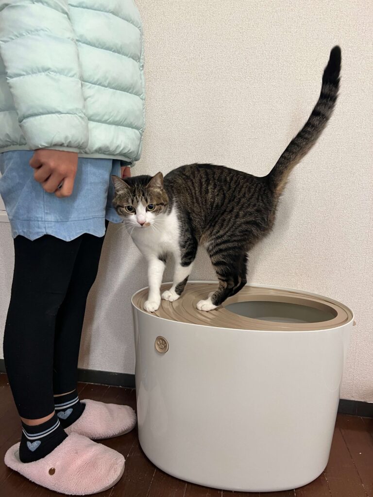 アイリスオーヤマ　上から猫トイレ