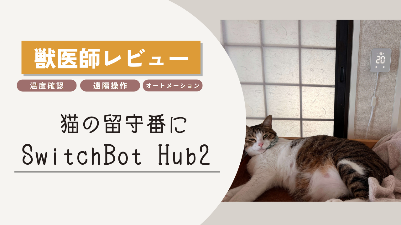 獣医師レビュー 猫の留守番にSwitchBot Hub2