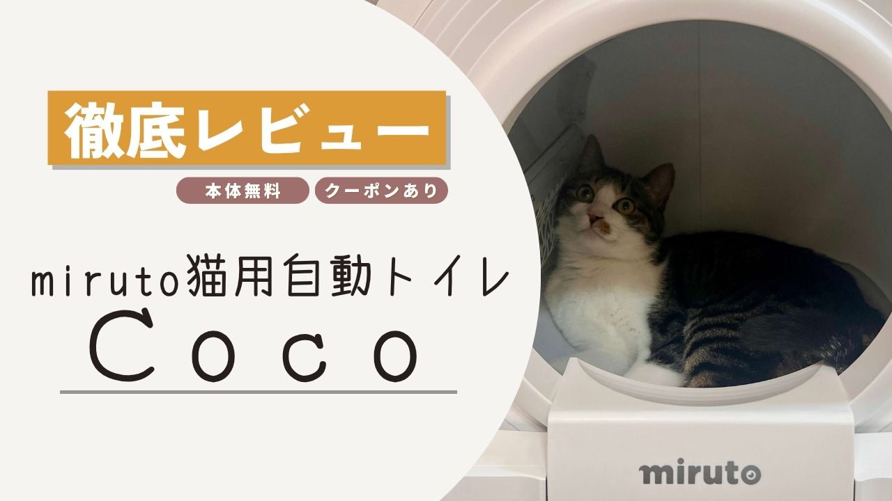 miruto　coco　lala
