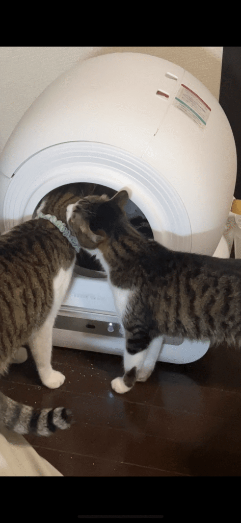 miruto猫全自動スマートトイレCoco