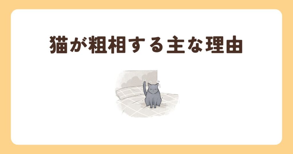 猫 粗相