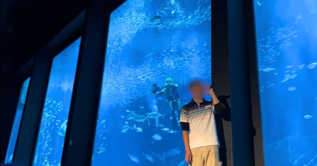 マリンワールド海の中道の外洋大水槽