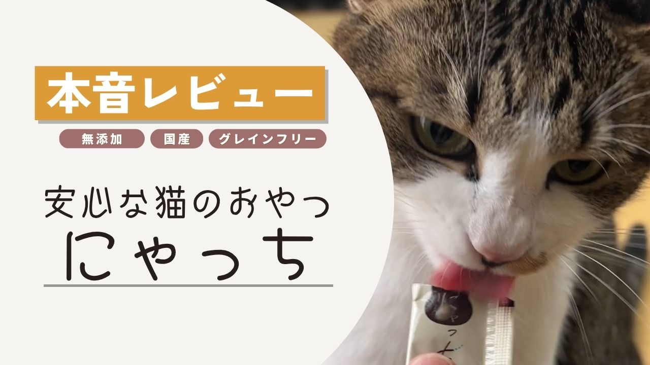 猫おやつ にゃっち