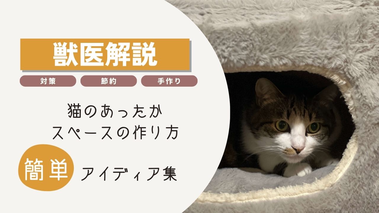 猫　寒さ対策