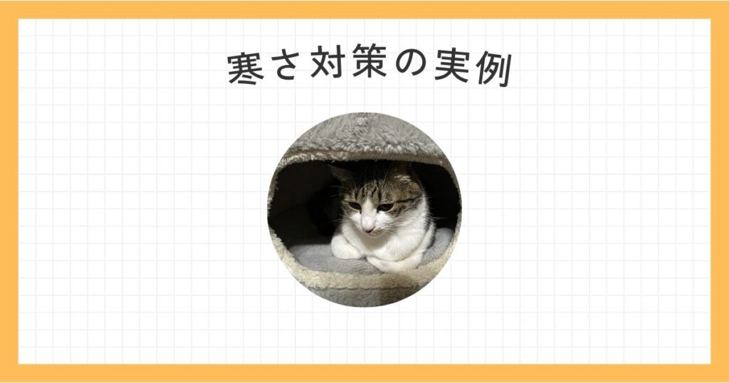 猫　寒さ対策