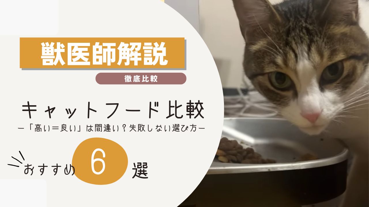 キャットフード 比較