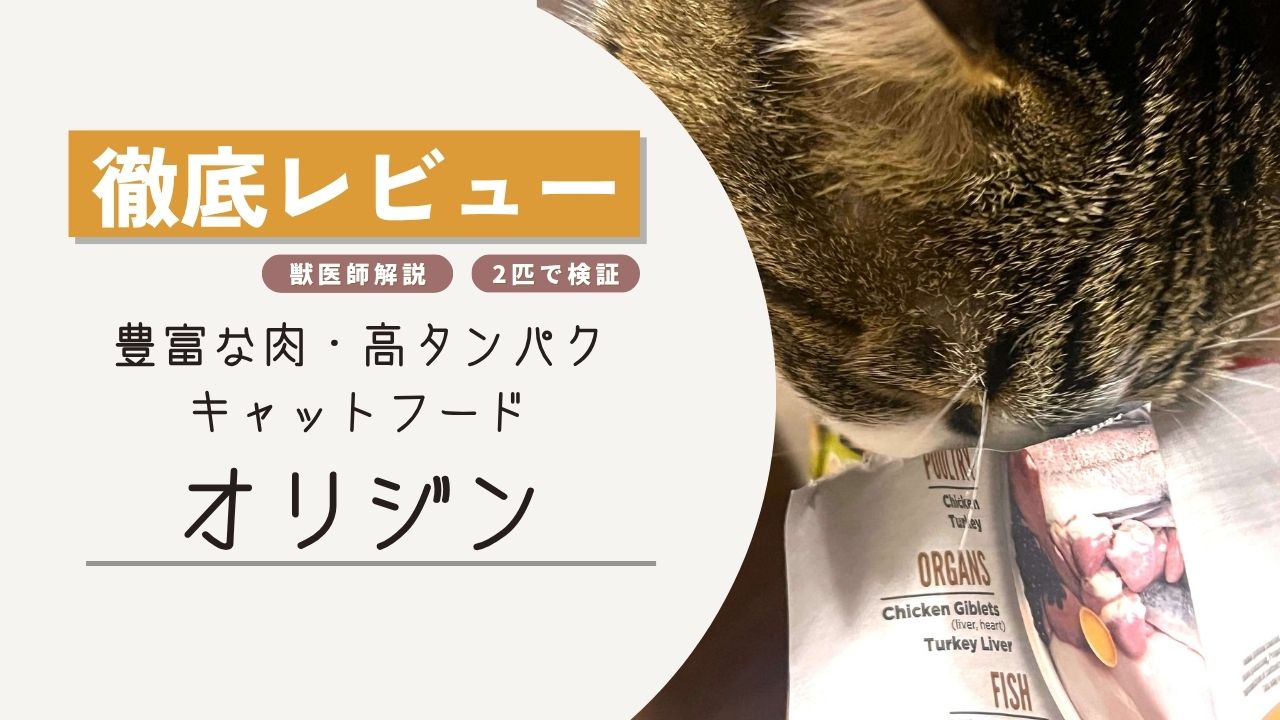 オリジン