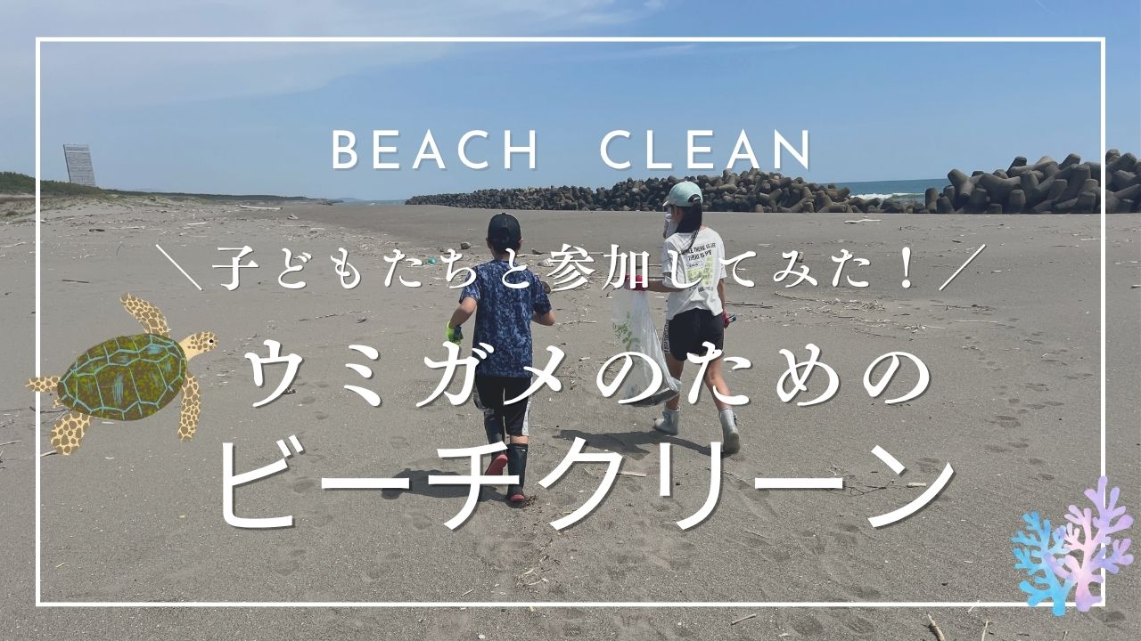 ビーチクリーン