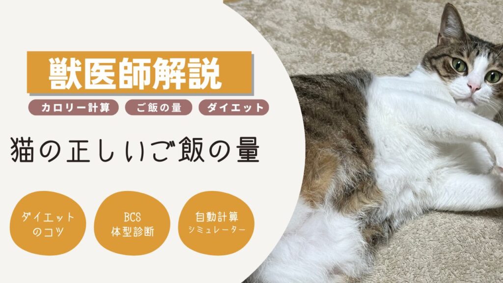 猫 カロリー計算 ダイエット