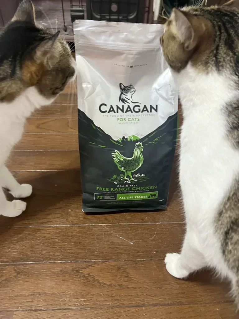 カナガン