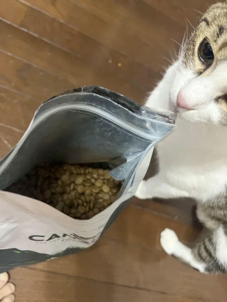 カナガン