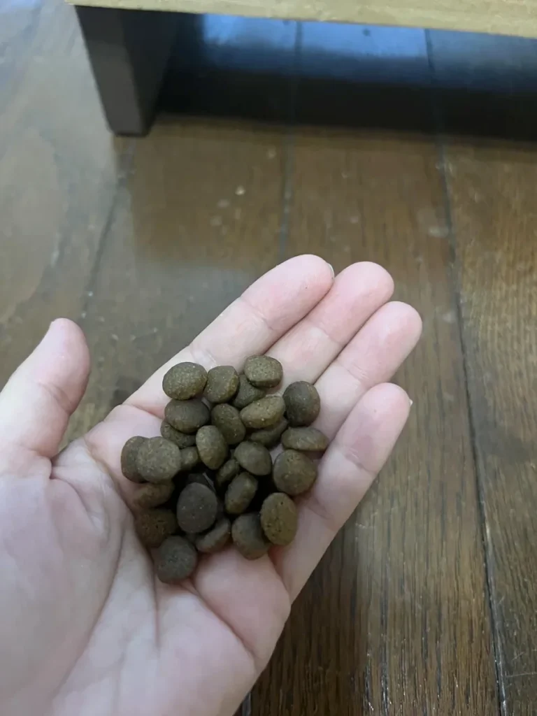 カナガン