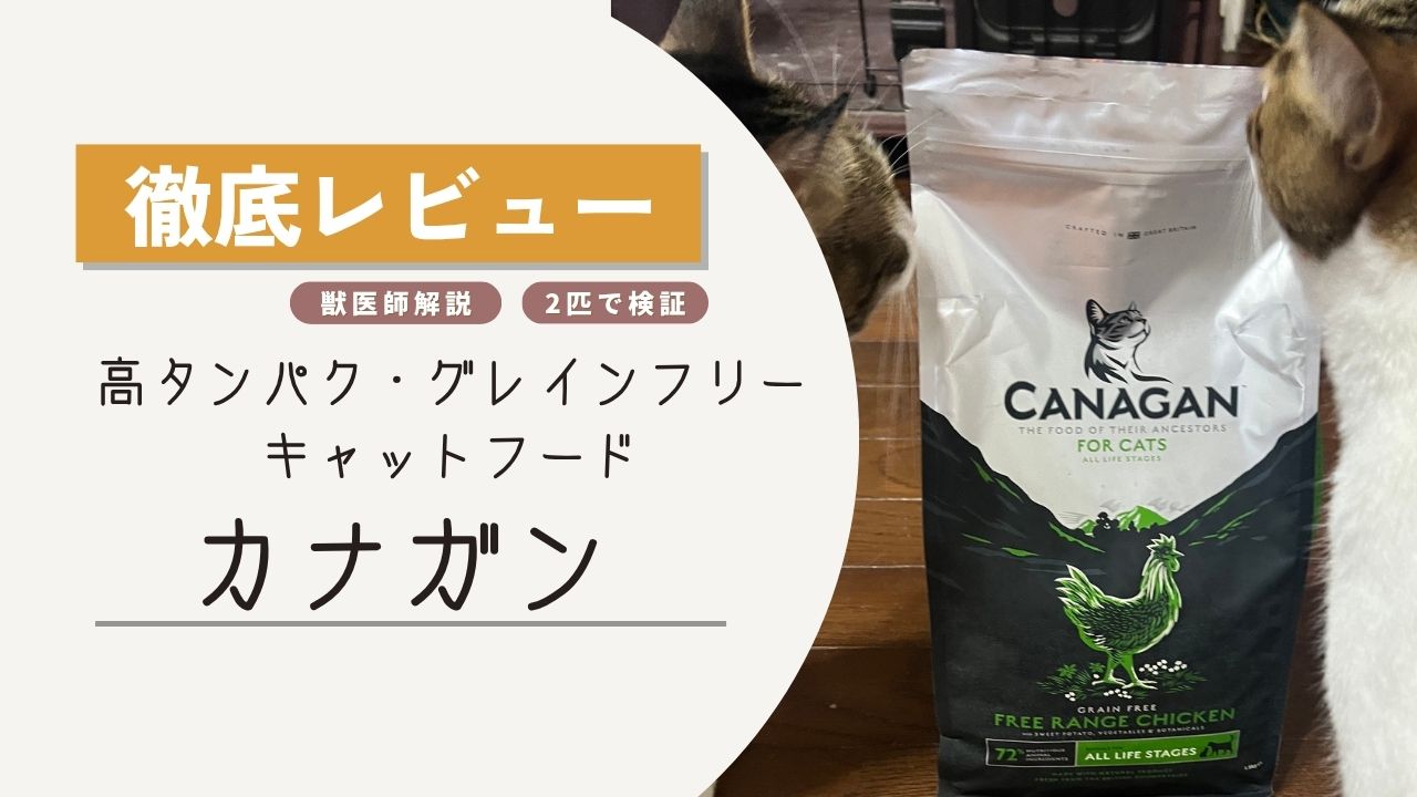 カナガン
